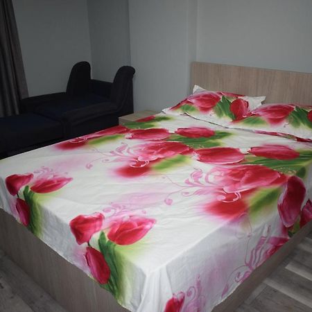 Apartament Parc Central Rhbm Nagybánya Kültér fotó
