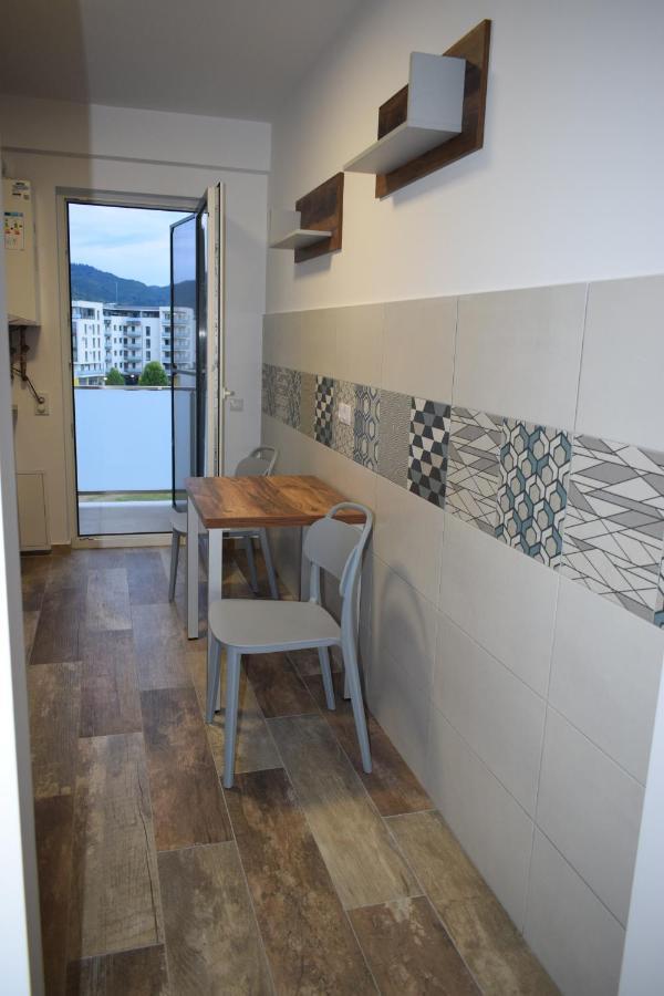 Apartament Parc Central Rhbm Nagybánya Kültér fotó