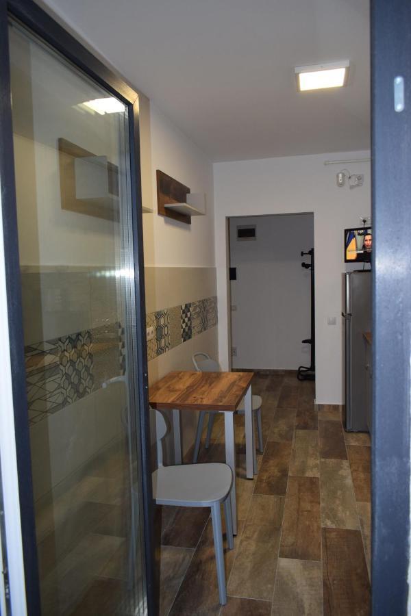 Apartament Parc Central Rhbm Nagybánya Kültér fotó